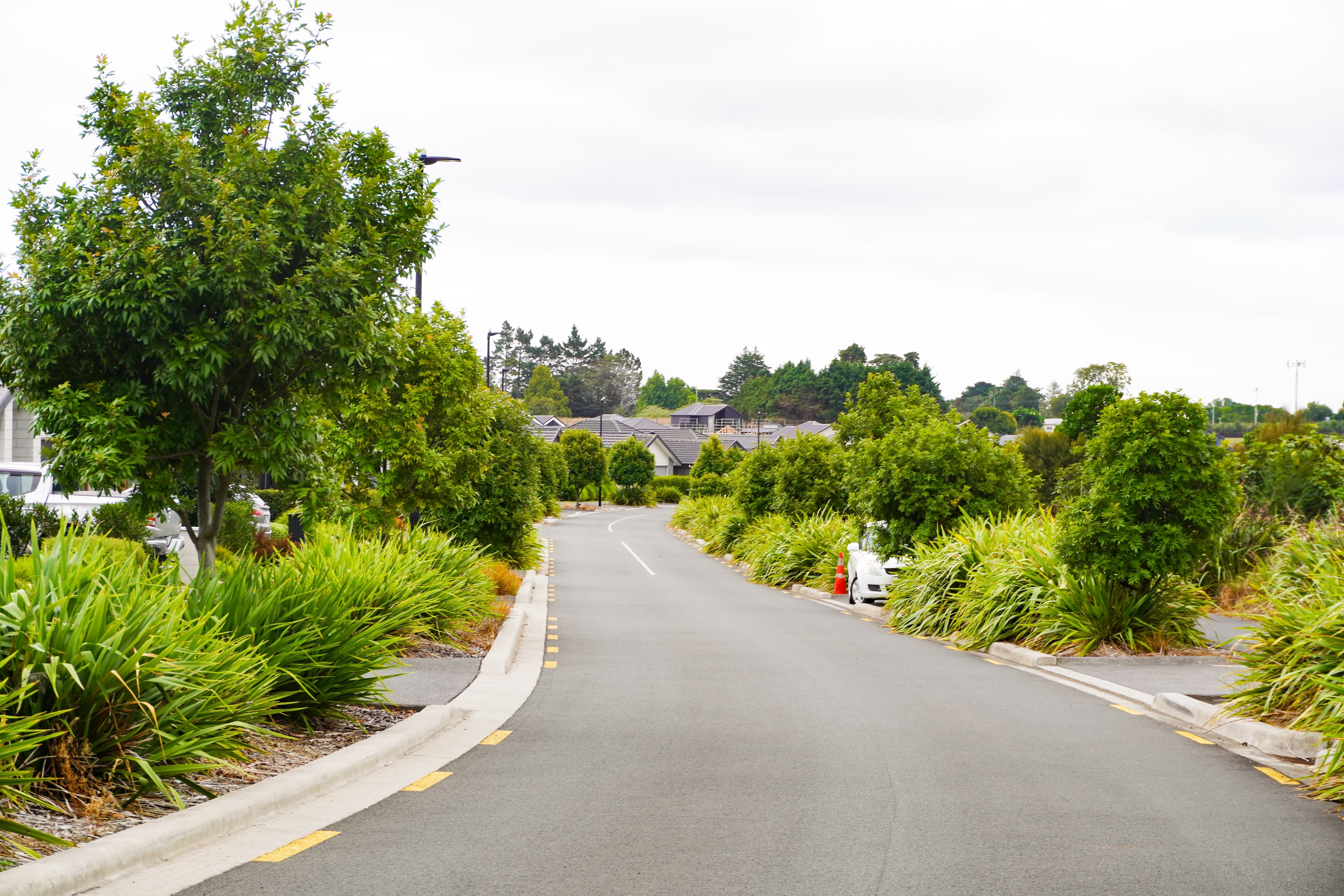 Mariner Rise Header