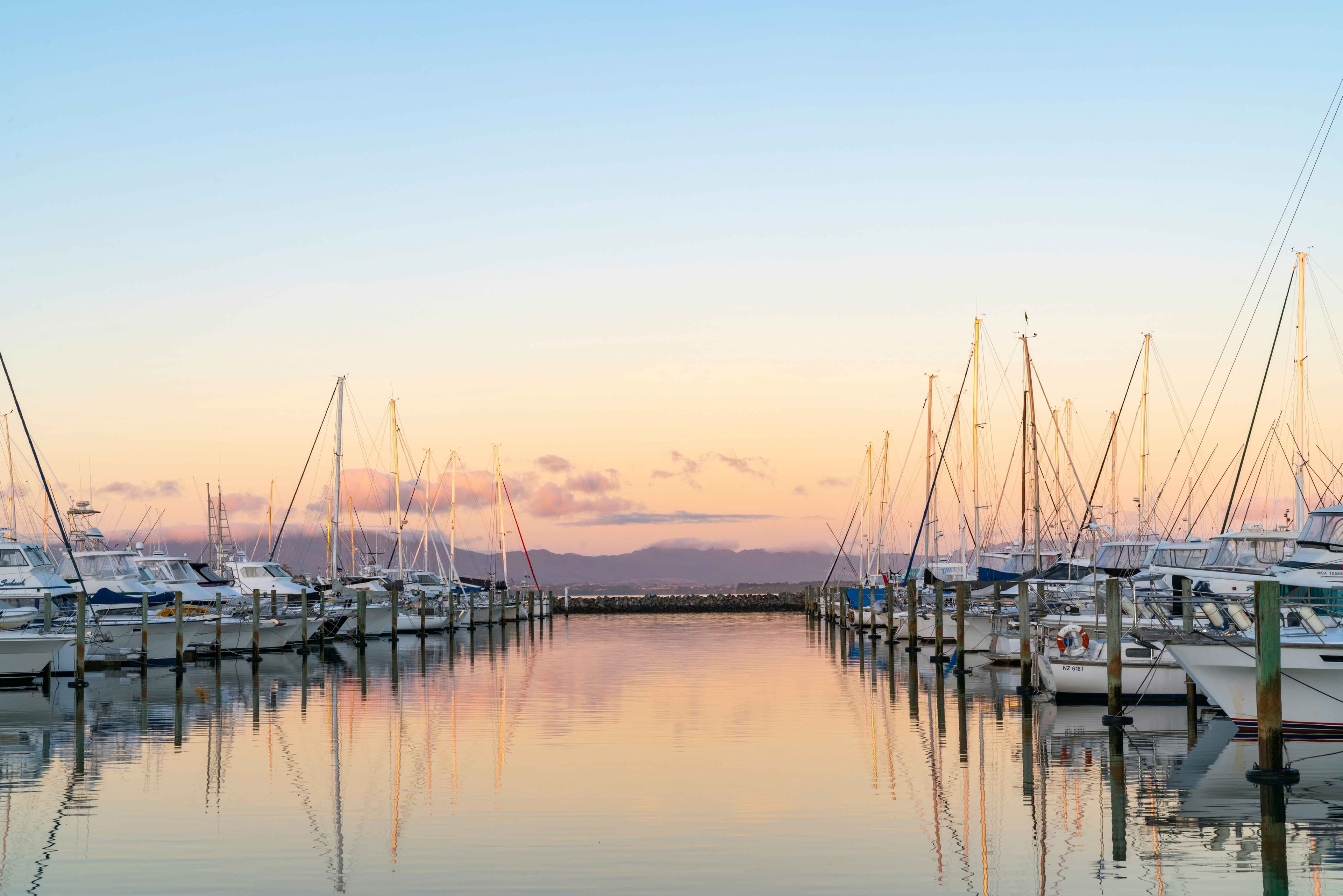 Image of Tauranga harbour with boats