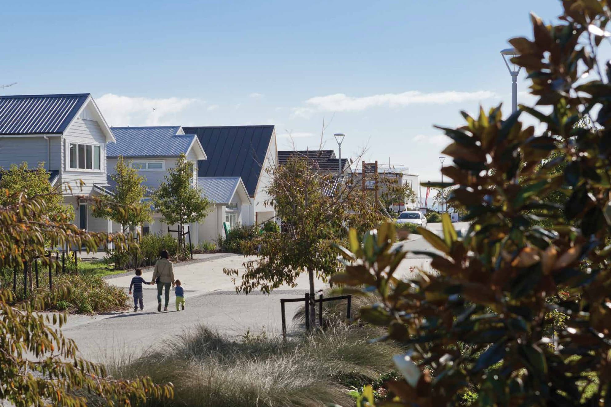 Image of trees and new town houses