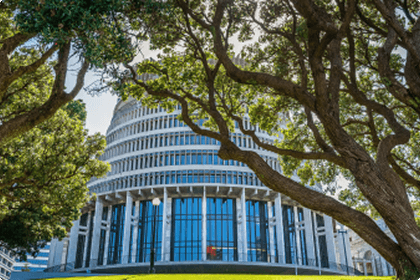 Government and councils